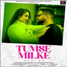 Tumse Milke Dil Ka Cover Mp3 Tumse Milke Dil Ka Cover Mp3